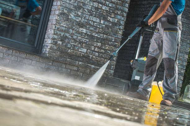 Best Gutter Cleaning  in Kenilworth, NJ