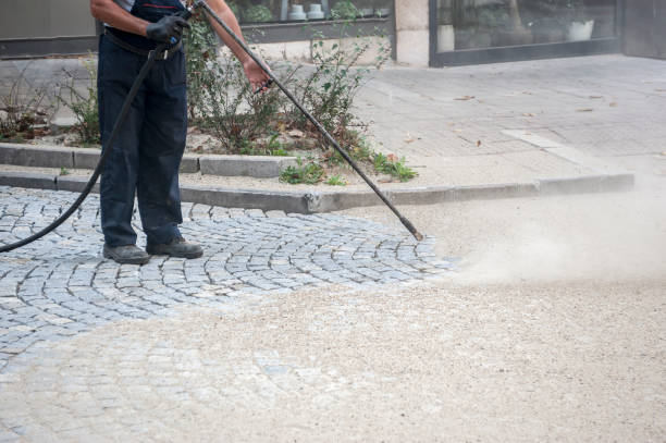 Animal Enclosure Cleaning in Kenilworth, NJ
