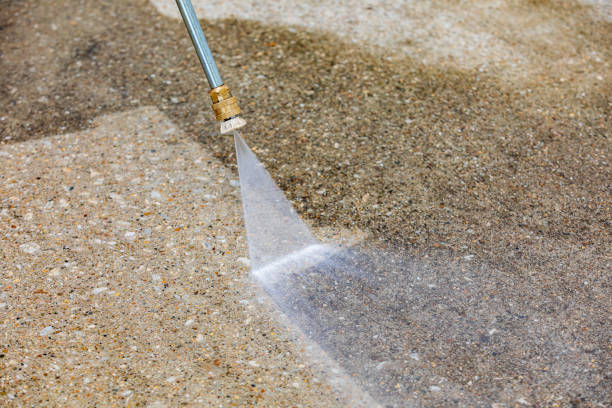 Best Roof Washing  in Kenilworth, NJ
