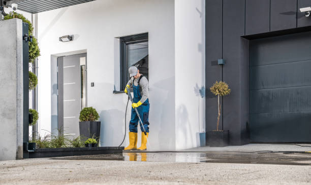 Pre-Holiday Cleaning in Kenilworth, NJ